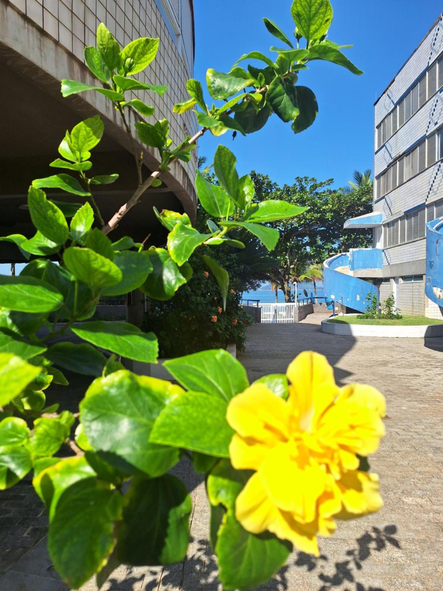 Duplex Pe Na Areia, Praia Do Tombo - Guaruja/Sp. Dış mekan fotoğraf